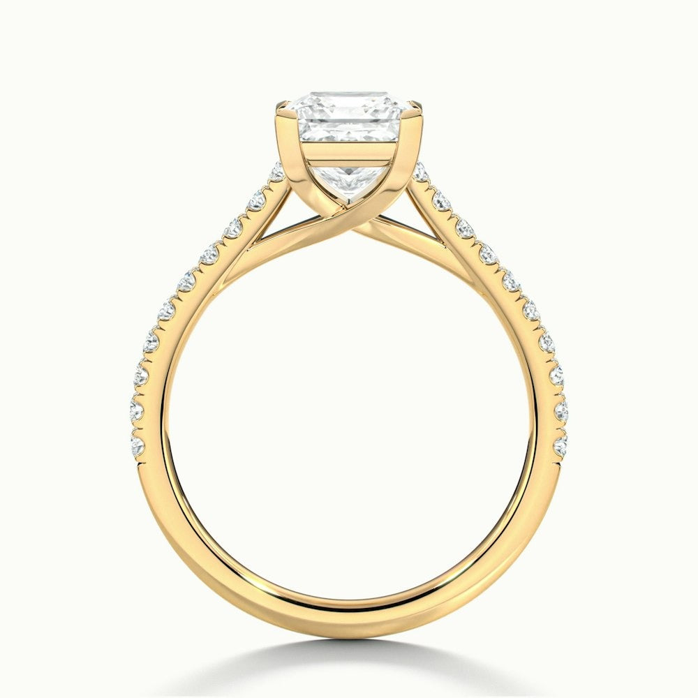 Timeless Princess Cut Moissanite Engagement Ring